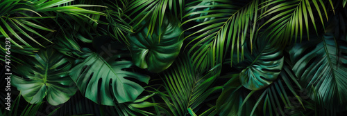 Panorama view of tropical nature abstract background. Summer and environment concept. Generative ai.