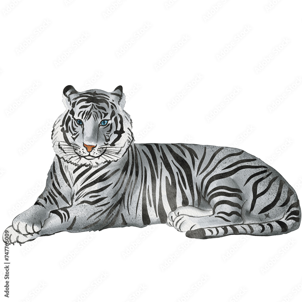 Fototapeta premium watercolor tiger painting clip art, animal wildlife illustration png