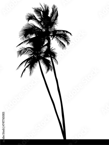 ramas, arboles, siluetas, vegetacion, roble, bosque, paisaje, vector, hojas, abstracto, sauce, tronco, malesa, pegatina