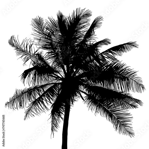 ramas, arboles, siluetas, vegetacion, roble, bosque, paisaje, vector, hojas, abstracto, sauce, tronco, malesa, pegatina