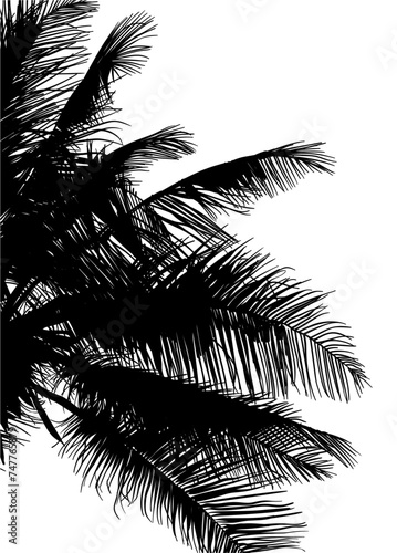 ramas, arboles, siluetas, vegetacion, roble, bosque, paisaje, vector, hojas, abstracto, sauce, tronco, malesa, pegatina