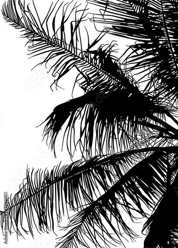 ramas, arboles, siluetas, vegetacion, roble, bosque, paisaje, vector, hojas, abstracto, sauce, tronco, malesa, pegatina