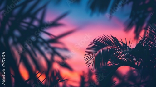 A palm tree stands out in silhouette against a colorful sky blending shades of pink and blue