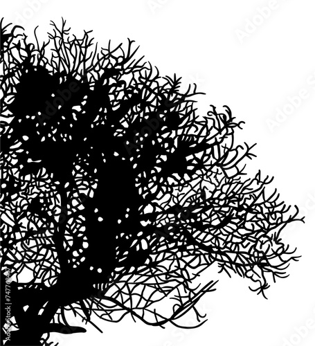 ramas, arboles, siluetas, vegetacion, roble, bosque, paisaje, vector, hojas, abstracto, sauce, tronco, malesa, pegatina