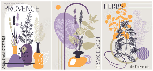 Collage-style Provence herbs background. Herbal plant sketch, hand drawn vector illustrations. Artistic frame for cosmetics packaging, perfumery labels, soap or candle making. NOT AI generated