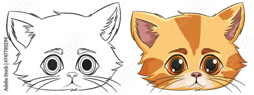 Vector drawing of a kitten, outlined and colored