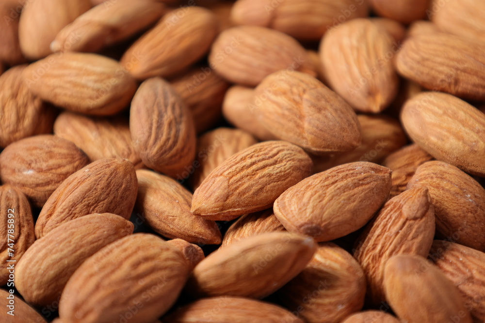 close up of almond close up of almond