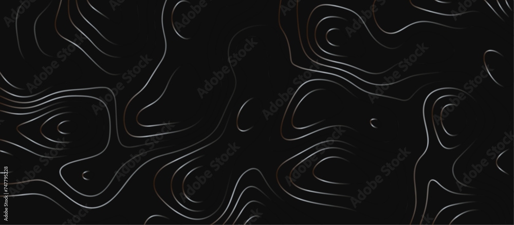 Abstract outline topographic contour map background. Dark texture background for your perfect interior. Old paper texture design .geographical map Imitation. Abstract outline topographic contour map background. Dark texture background for your perfect interior. Old paper texture design .geographical map Imitation.