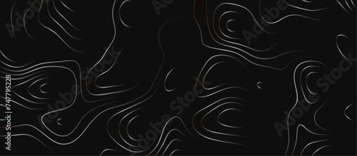 Abstract outline topographic contour map background. Dark texture background for your perfect interior. Old paper texture design .geographical map Imitation.	