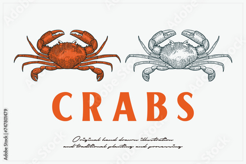 hand drawn crab vector illustration