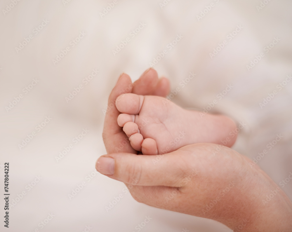 Feet, hand and parents with infant, support and love of parent for bonding or wellness. Family, close up of caring person holding baby toes for security, protection and childhood development Feet, hand and parents with infant, support and love of parent for bonding or wellness. Family, close up of caring person holding baby toes for security, protection and childhood development
