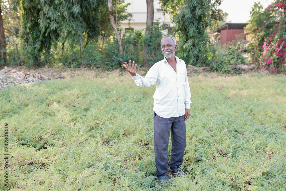 Fototapeta premium Indian chickpeas Farming , happy Indian poor farmer