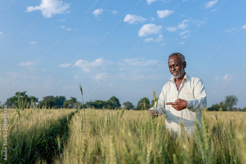 Indian farmer standing at wheat field, Happy farmer - obrazy, fototapety, plakaty 