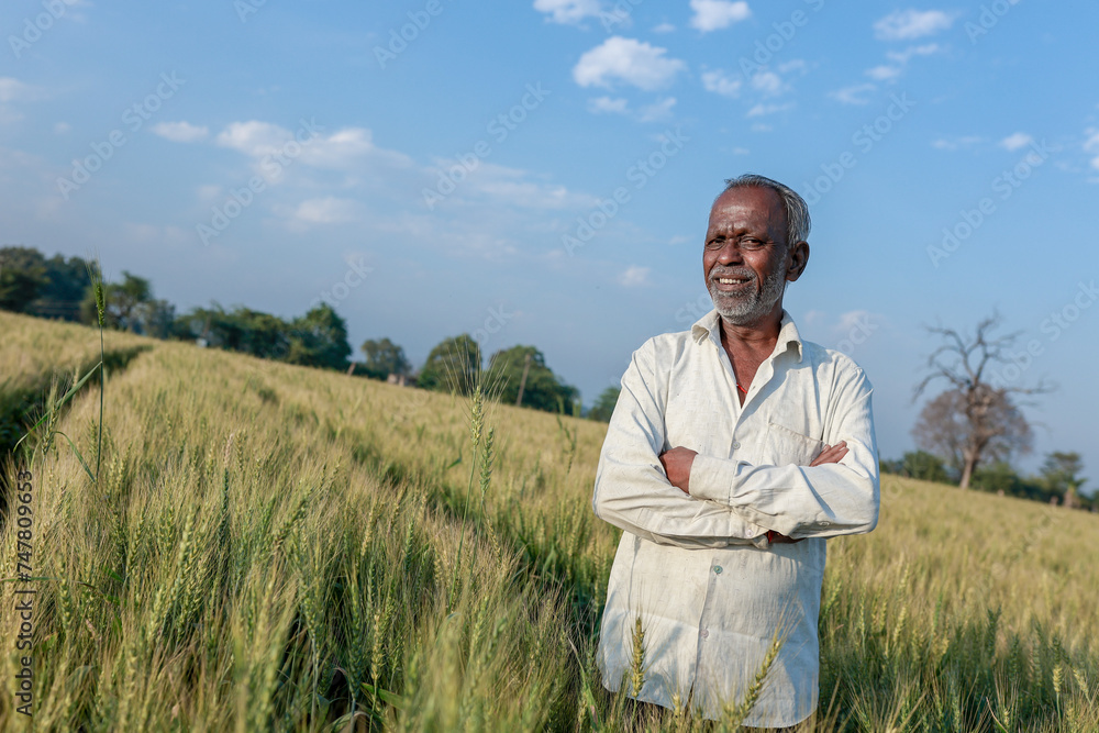 Indian farmer standing at wheat field, Happy farmer - obrazy, fototapety, plakaty 