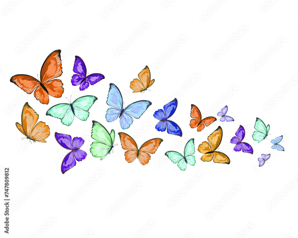 set of butterflies set of butterflies
