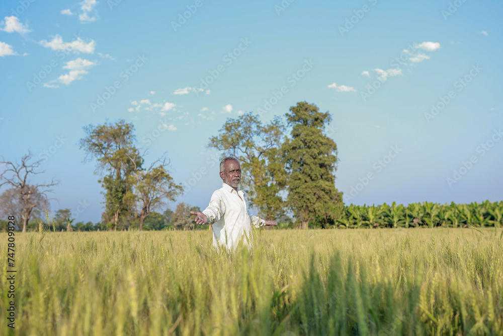 Indian farmer standing at wheat field, Happy farmer