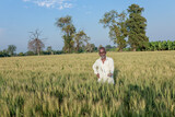 Indian farmer standing at wheat field, Happy farmer