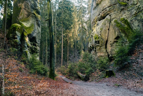 Rock massif in the Czech forest  paths without people