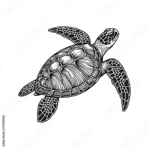Line art of sea turtle swimming vector