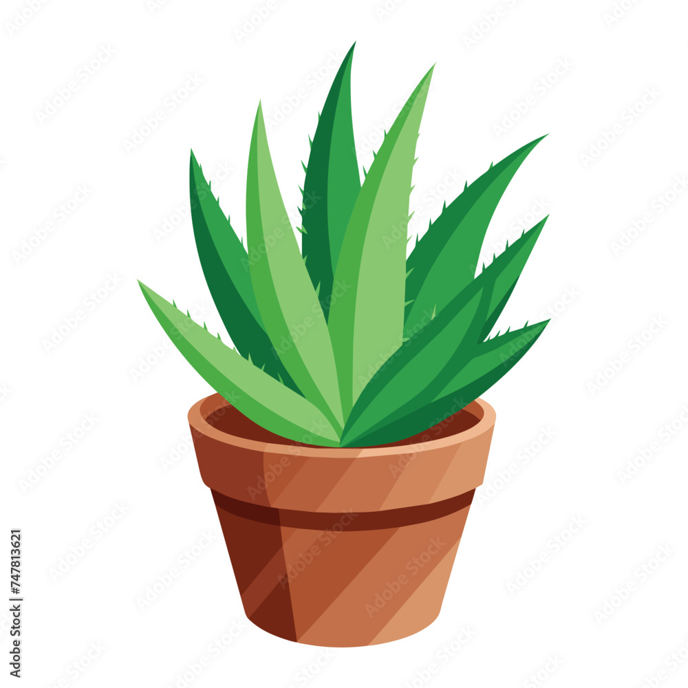 Isolated Aloe in Flowerpot Vector Illustration Isolated Aloe in Flowerpot Vector Illustration