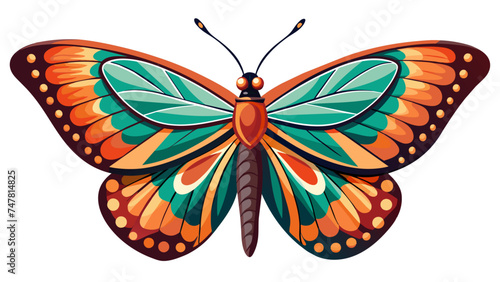 butterfly isolated on white