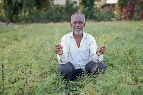 Indian happy farmer in a chickpea farm