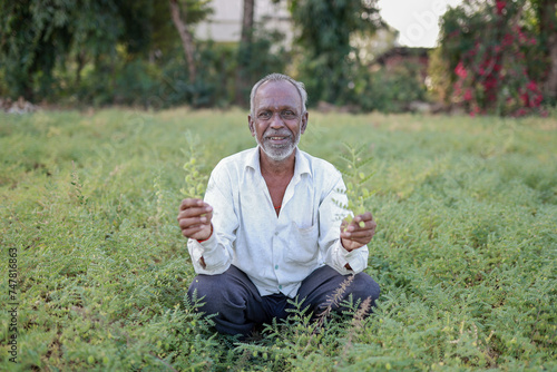 Indian happy farmer in a chickpea farm