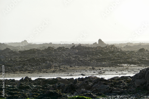 Obraz na plátne Panoramic view of the tidal zone in Jersey