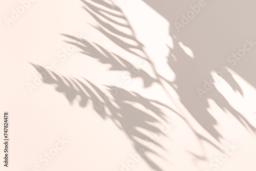 Realistic Botanical Plant Shadow on the Wall with Warm Filter