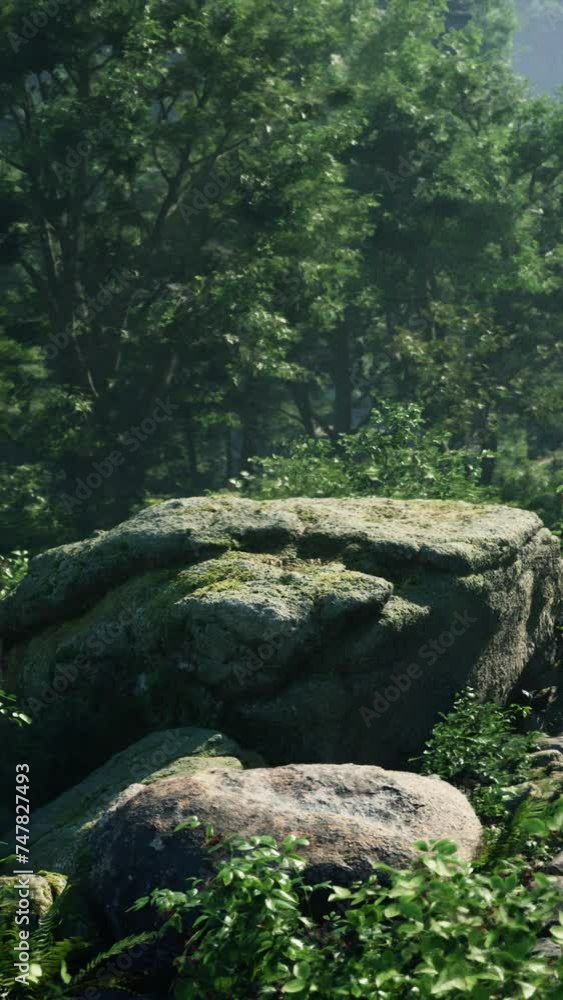 A majestic rock standing tall amidst a lush forest A majestic rock standing tall amidst a lush forest