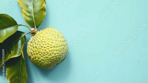 This is an image of a green, bumpy fruit with a rough texture. It is hanging from a branch with green leaves. photo