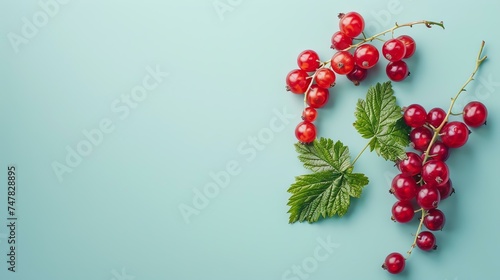 Fresh red currant berries with green leaves on a blue background. Healthy eating concept.