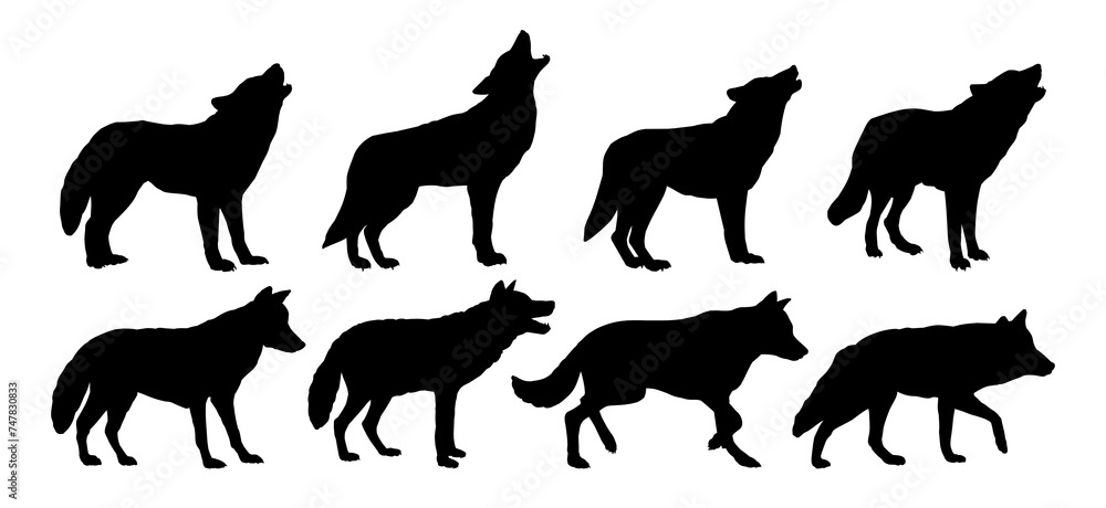 Fototapeta premium Set of silhouettes of wild wolves. 