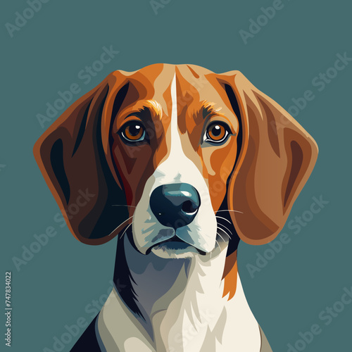 American Foxhound dog portrait