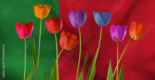 beautiful multi-colored tulips on the background of the flag of Portugal close-up