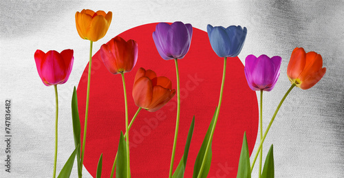 beautiful multi-colored tulips on the background of the flag of Japan close-up
