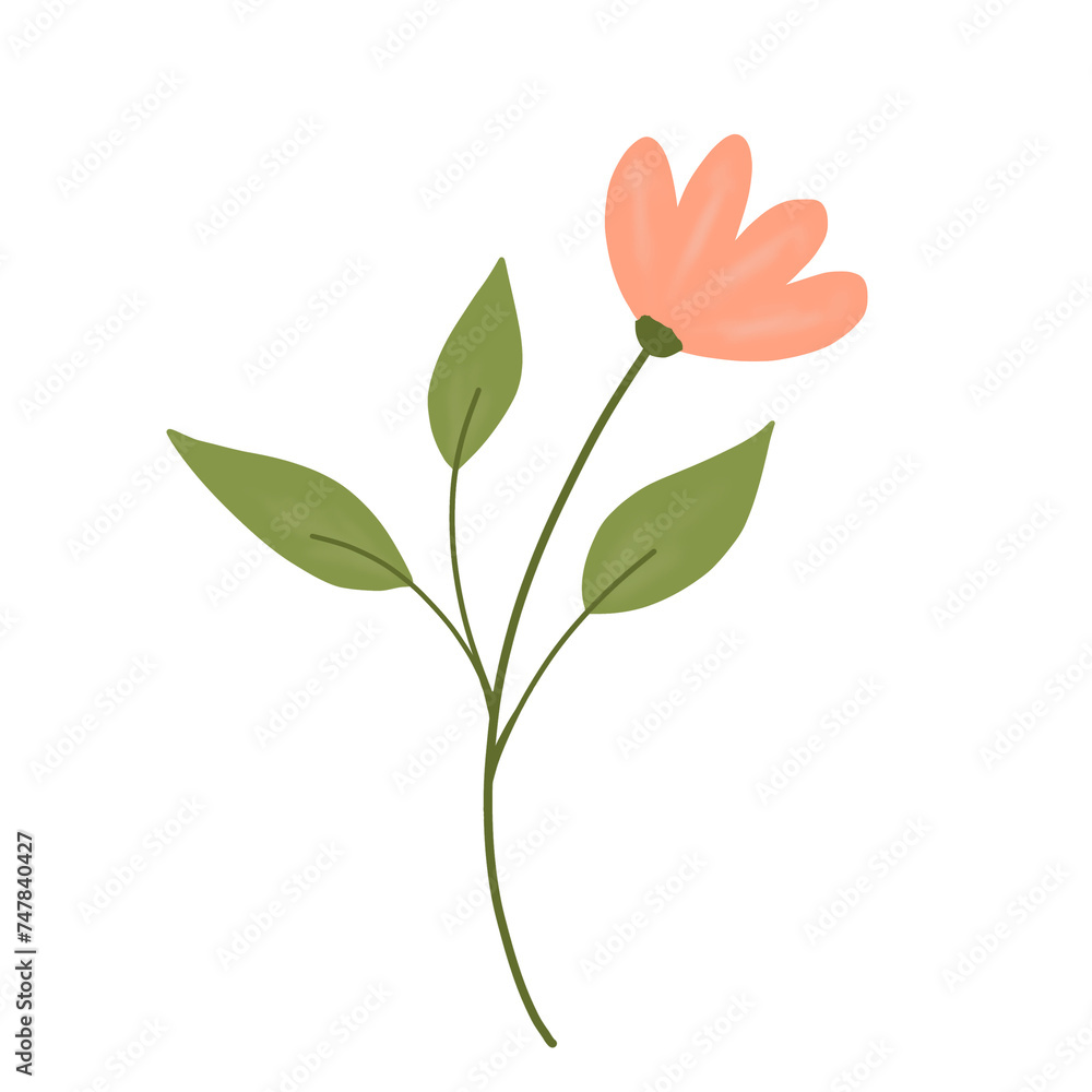 Obraz premium a flower on transparent background with leaves