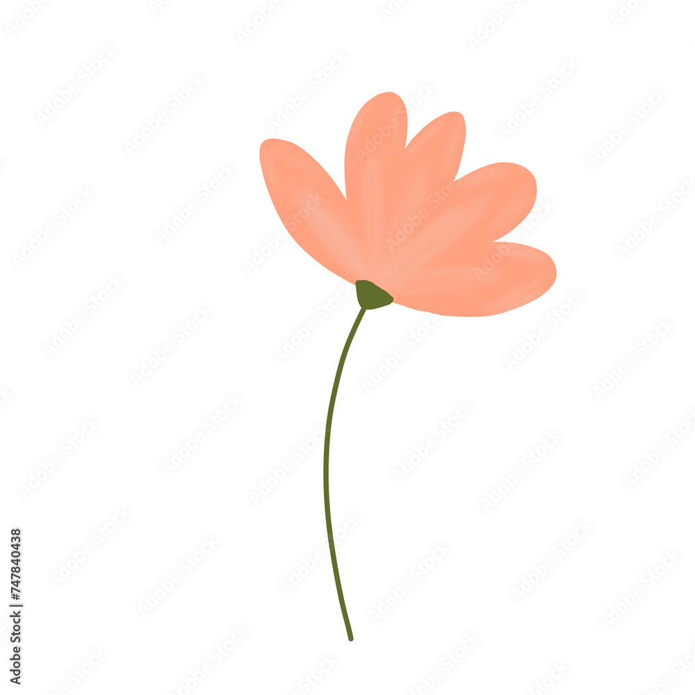 a peach flower without leaves on transparent background a peach flower without leaves on transparent background