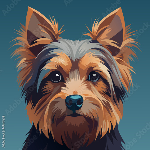 Cute Australian Silky Terrier dog vector