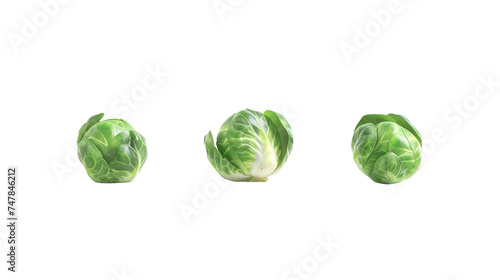 Brussels Sprouts on PNG Transparent background photo