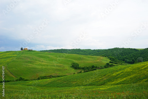Natural Tuscany landscape of green mountain hill range and view of cloudy blue sky- Florence, Italy