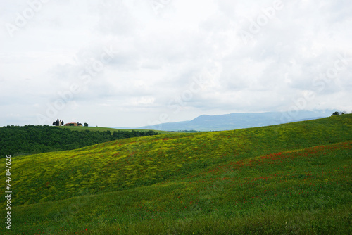 Natural Tuscany landscape of green mountain hill range and view of cloudy blue sky- Florence, Italy
