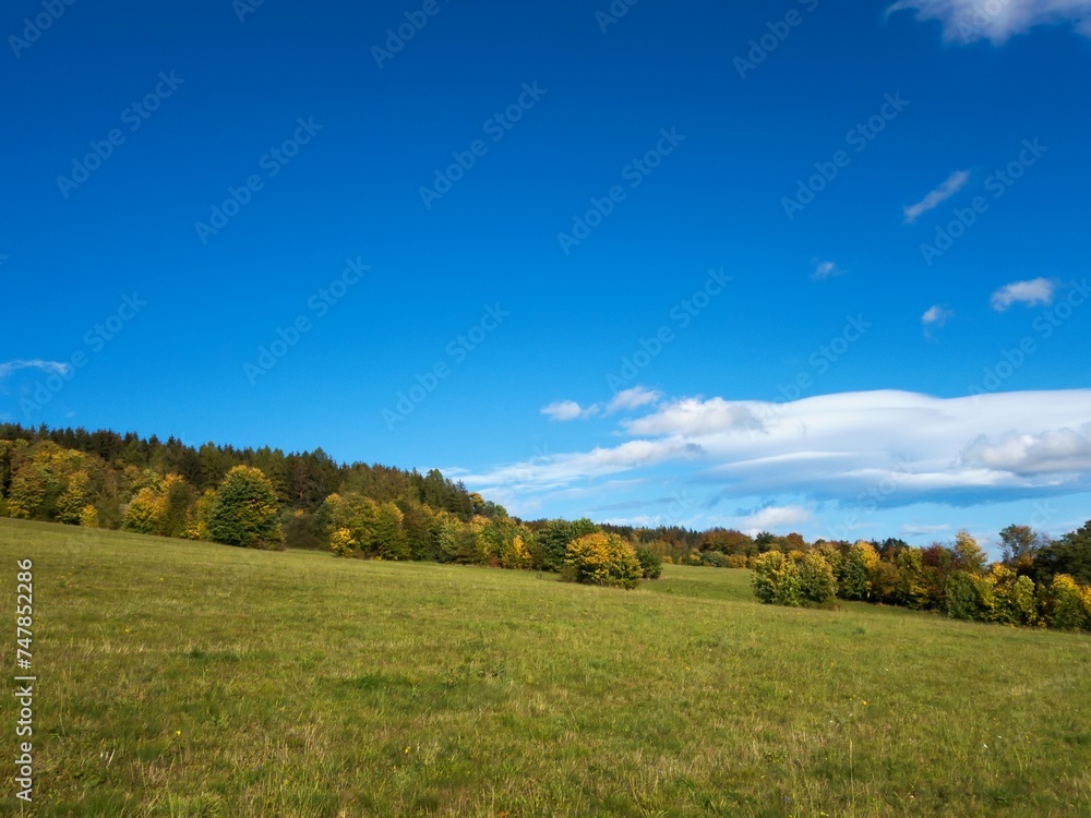 A mountain meadow with islands of bushes under a partly clear sky. Autumn.