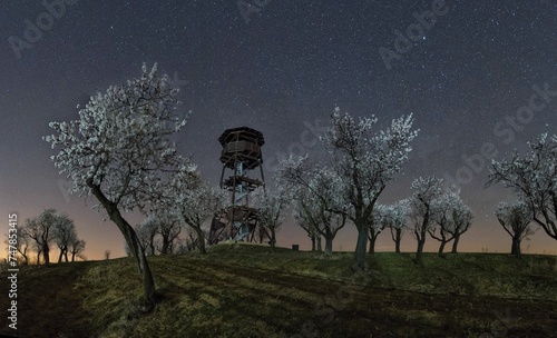 Magical night in blooming almond orchard in Hustopece, Czech republic, with all the stars on the night sky photo