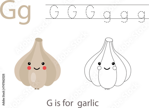 Tracing alphabet letters with cute fruits and vegetables. Color cute cartoon garlic. Trace letter G.