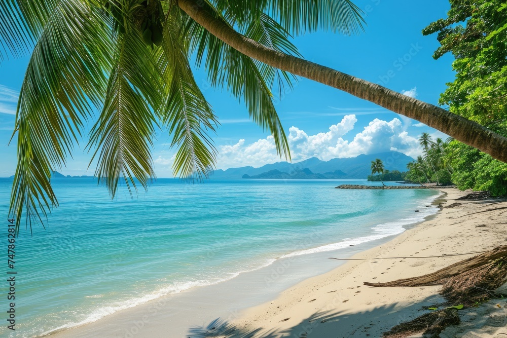 A stunning beach with tall palm trees and crystal clear blue water stretching out towards the horizon, Tropical beach with palms and turquoise sea, AI Generated