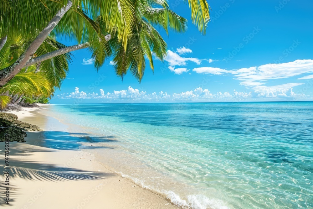 A scenic beach featuring tall palm trees and crystal clear blue water gently lapping against the sandy shore, Tropical beach with palms and turquoise sea, AI Generated