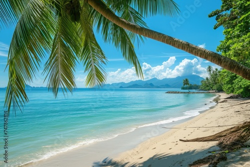A stunning beach with tall palm trees and crystal clear blue water stretching out towards the horizon, Tropical beach with palms and turquoise sea, AI Generated © Iftikhar alam