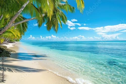A scenic beach featuring tall palm trees and crystal clear blue water gently lapping against the sandy shore, Tropical beach with palms and turquoise sea, AI Generated © Iftikhar alam