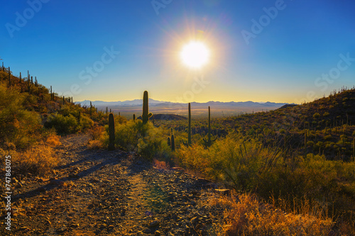 Sunset over King Canyon Trailhead with saguaros in Saguaro National Park West near Tucson, Arizona